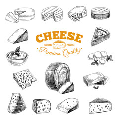 Vector hand drawn illustration with cheeses .