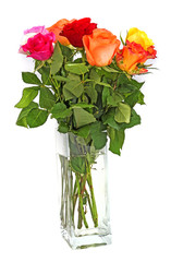 roses in vase isolated on white