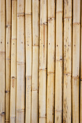 Bamboo wall background 