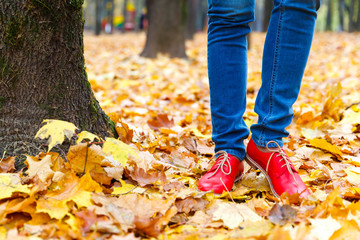 shoes on a background of yellow maple leaves