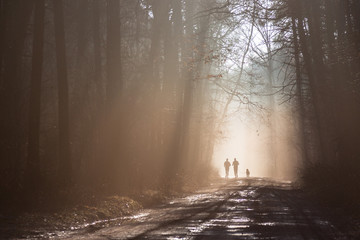 Fototapeta Biegająca para ludzi z psem w mglistym lesie obraz