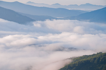 Summer mountain landscape with the sea fog