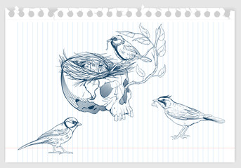 birds making a nest in animal skull