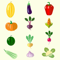 set of vegetables, melon, squash, beets