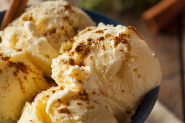 Cold Homemade Eggnog Ice Cream