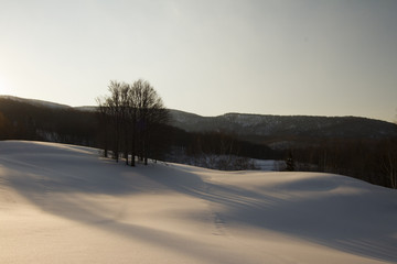 夕刻の雪原