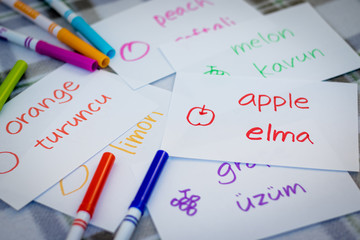 Turkish; Learning New Language with Fruits Name Flash Cards