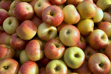 Red apples background