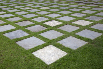 stairs,Stairs in the grass,grass,outdoor,green grass, landscape, moisture, fit exercise,nature, morning walk 