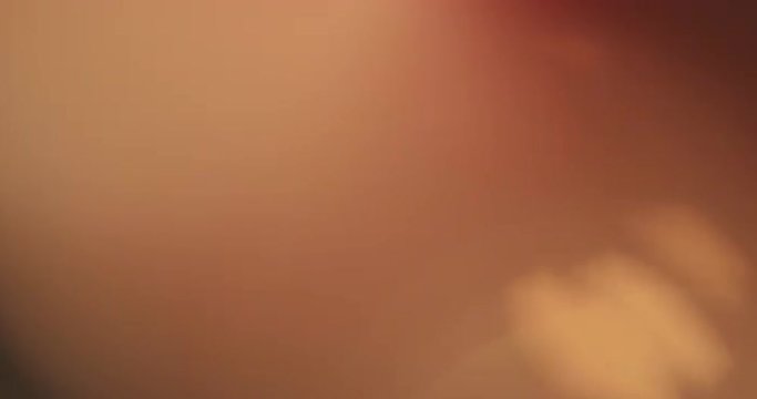 Real lens flare and light leak. Perfect for compositing.