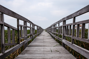 Obraz premium Wood bridge in Khao Sam Roi Yod National Park, Thailand.