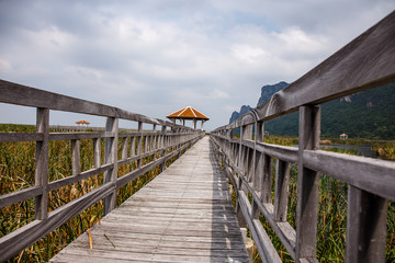 Wood bridge in Khao Sam Roi Yod National Park, Thailand.