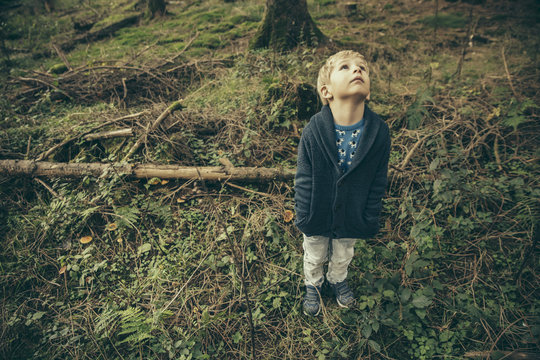 Little boy standing in forest looking up in wonder