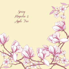 Background with magnolia and apple tree