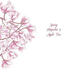 Background with magnolia and apple tree