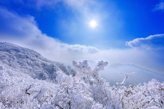 Deogyusan mountains is covered by snow and morning fog in winter