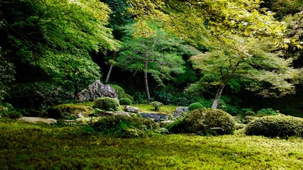 南禅寺の日本庭園