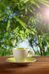 a cup of coffee or tea on garden background