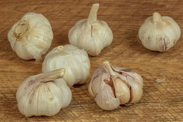 garlic