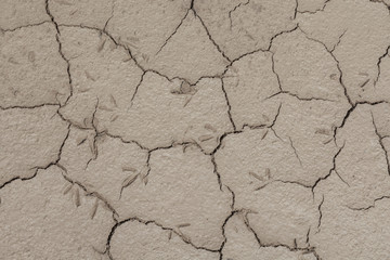 Footprints in the soil drought cracked texture