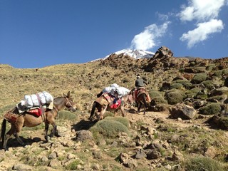 Fototapeta premium Trekking Damavand