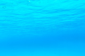 Tranquil underwater scene with copy space