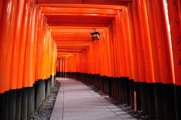 Thousands of torii gates at Kyoto Fushimi Inari Shrine
