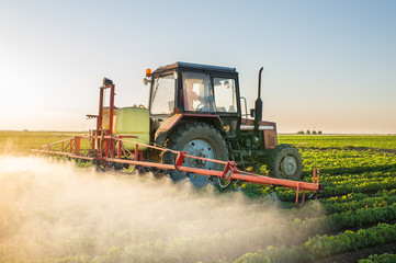 Naklejka premium Tractor spraying soybean