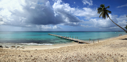 panorama sur plage des caraïbes