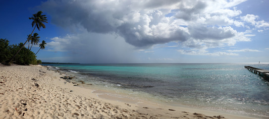 panorama sur plage du sud de la république dominicaine