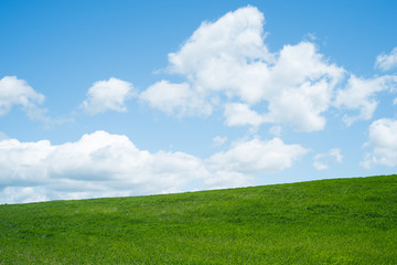 Spring background, with grass and sky