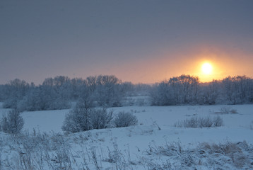 Winter landscape. snowfall