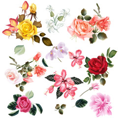 Beautiful collection of vector flowers