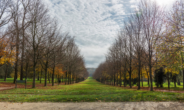 Fall in Versailles