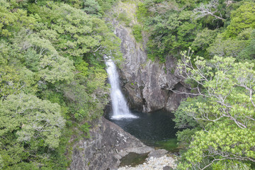 Fototapeta na wymiar Waterfalls in Yakushima island, Japan