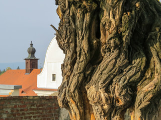 Szentendre, small town in the Hungary
