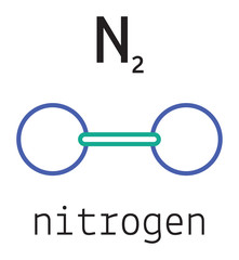 N2 nitrogen molecule