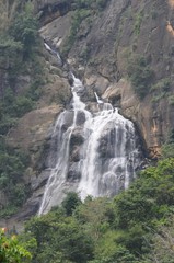 The waterfall in the deep forest near Nuwara Eliya.