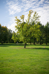 Sunny City Park