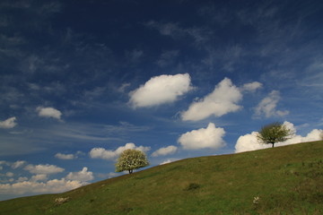 Natur pur!