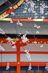 Cherry blossom in a temple in Kyoto