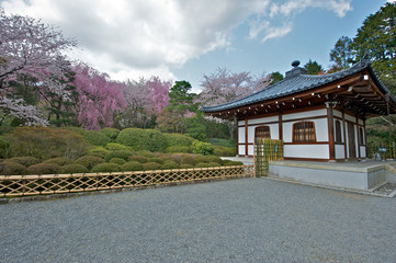 Temple gardens, Kyoto Japan
