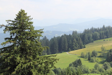 The cuty of Austria, Lindau, year 2013