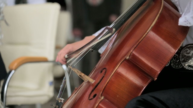Portrait Of Cellist Playing Classical Music On Cello 