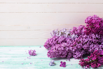 Obraz premium Background with fresh lilac flowers