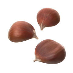 Chestnuts isolated on a white background