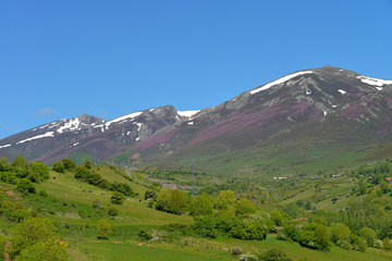 Fototapeta premium Frühling in der Sierra Cordel in Kantabrien