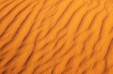 Desert sand background. Gold desert into the sunset