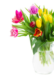 spring tulips and irises
