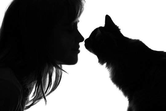 Meowza! How Cats Improve Our Mental Health and Well-being